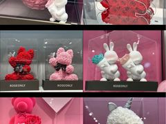 -ROSEONLY诺誓(广州K11店)