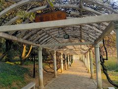 -苏州上方山国家森林公园