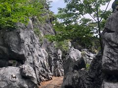 -千岛湖石林