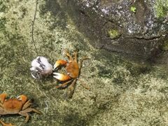 -正佳雨林生态植物园