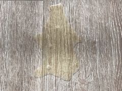 -喜多萌中农锦绣动物医院24H·猫科·牙科MRI·CT