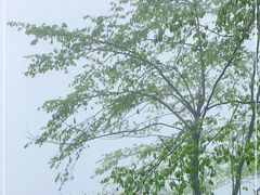 -萍乡武功山风景名胜区