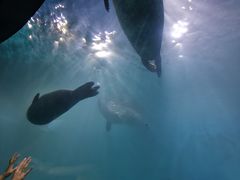 -青岛海底世界-水族馆
