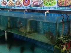 -崂山水果园农家宴(泉水鸡店)