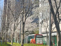 -星巴克(嘉定中信泰富万达广场店)