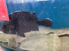 -聚德福海鲜家常菜(刘庄店)