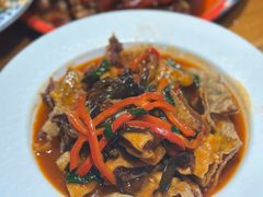 浇汁袈裟-柴窝堡22号辣子鸡·传承新疆菜