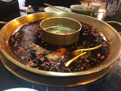 -杨家火锅(国美店)