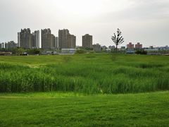 -上海山野camping·户外天幕烧烤·团建拓展营地