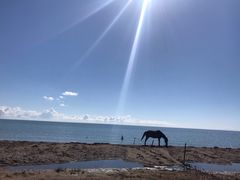 -青海湖国家重点风景名胜区
