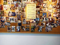 -翊宠yipet猫狗购宠庄园犬舍•猫舍