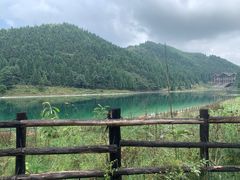 -武陵山森林公园