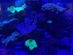 -上和臻品中国菜(花园街店)