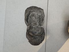 -吉林市博物馆