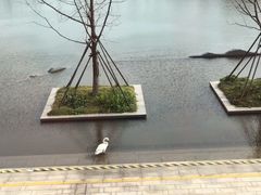 -南通滨江洲际酒店-东厨中餐厅