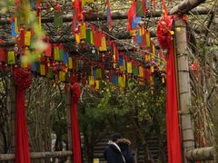 -云南民族村