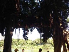 -小洲村