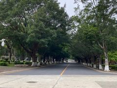 -广东外语外贸大学(白云山校区)