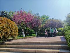 -燕儿岛山公园