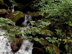 -藏龙百瀑风景区