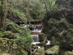 -牛背梁国家森林公园