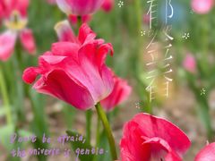 -院士公园