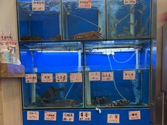 -华峰食馆(氹仔店)