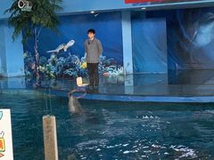 -苏州海洋馆