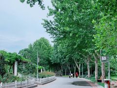 -郑州植物园