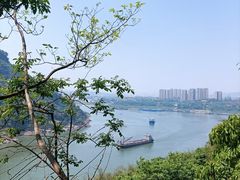 -铁山坪森林公园