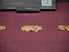 -兴隆文化园景区-兖州博物馆