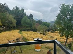 -塔川景区