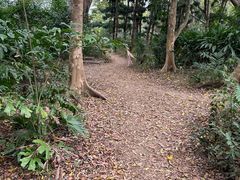 -深圳湾公园(南山区)