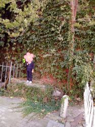 -小熊饼干专业儿童摄影