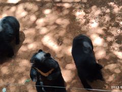-昆明动物园