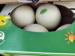 -菊园百果园