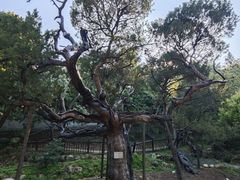 -草庵摩尼教遗址公园