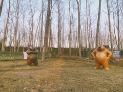 -合肥滨湖国家森林公园