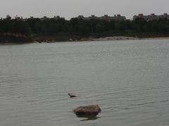 -美兰湖景区