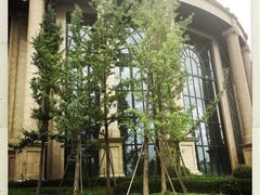 -郑州银基黄帝宫御温泉