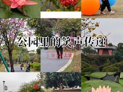 -东莞植物园
