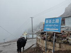 -孜珠寺