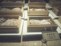 -海中洲渔社