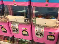 -汤姆熊欢乐世界(罗斯福店)