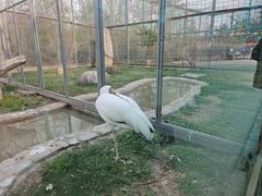 -齐齐哈尔龙沙动植物园