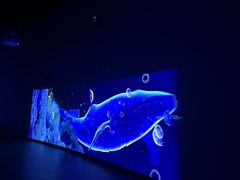 -北戴河圣蓝海洋公园