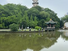 -江心屿景区