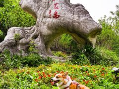 -桃花岛景观公园