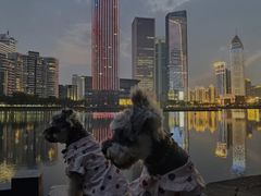-喷泉公园