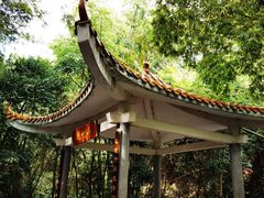 -大屏嶂森林公园